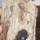 (주)운우 이미지