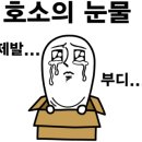 호텔 휴티스 이미지