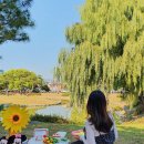 월하A동 이미지