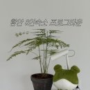 프로그타운 이미지