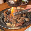 (주)다온미트