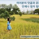 복어잡는사람들 두류점 이미지