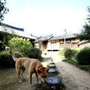 [영광연안김씨종택] 영광 트립, 영광 연안김씨종택[ 靈光 延安金氏宗宅 ], 아 이런 멋진 고택이.. 감탄...
