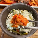 황금코다리 이미지