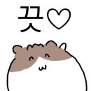 진정주약국 이미지