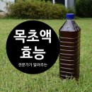 경원참숯 찜질방 | 목초액 효능