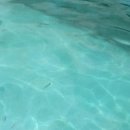 봉동 구수골 계곡 이미지