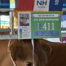 평창축산 이미지