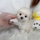 오래드림 이미지