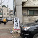 랑성오리 이미지
