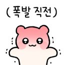 코우커피 이미지