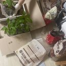 5月 [종강 기원]