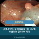 깨끗한속내과 이미지