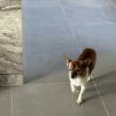 갤러리 1514 이미지