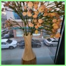 플라즈마헤베울산 | 울산피부관리 울산 남구의 피부 전문가, 플라즈마헤베 울산남구점에서 바뀐 내 피부, 제 2의 전성기!