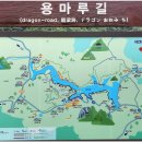 제 222차(8월 6일) 전남 담양 용마루길 트레킹 공지. 이미지