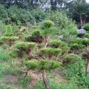 여송농장 이미지