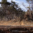 지리산 외갓집 이미지