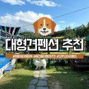 경주애견펜션 해피데이해피독 이미지