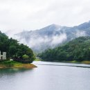 마법의 성 | 제천 여행지 비 오는 날 비룡담 저수지 마법의 성 (야경 포함)과 의림지 한방 치유숲길 주차