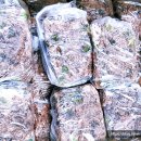 숲속 당구 이미지