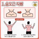 시너짐 - 천안시 동남구 풍세산단로 287 | 시너짐