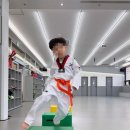 태권도장 이미지