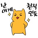 보건정문약국 이미지