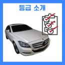 벤츠 2014년식 CLS 250 CDI 스타일과 연비 다 잡은 솔직 후기