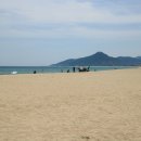 영4리 해수욕장 Daum카페