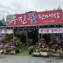 서김해상용서비스 | 김해꽃집 우진꽃판매장 : 풍유동 꽃배달 꽃다발 화환까지 한 번에!
