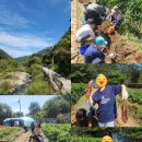 치악농장 | 25년 9월 마지막 주말 다시 찾은 원주 힐링 캠핑장