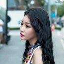 술시 이미지