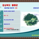 봉화공인중개사사무소 | 약수관광지 품은 황토벽돌 전원주택매매" 경상북도 봉화군 봉성면 우곡리 약수터와 자연 속 슬로우...