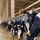 영구축산 이미지