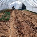 해뜬농장 이미지