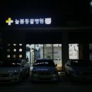 미사늘봄동물병원 네이버블로그