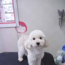 그루밍데이 이미지