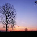 연일목장 이미지