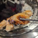 막창도둑 이미지