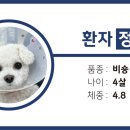 나음동물메디컬센터 이미지