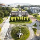 전남대학교 Daum카페