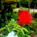 삽재농장 이미지