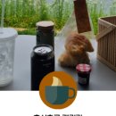 클럽아일랜드글램핑카라반 이미지