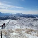 솔방울산악회 제28차 지리산 바래봉 설경산행안내 이미지