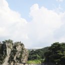 [국도3] 충주시 향산리