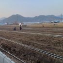 신기리농장 이미지