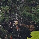 하대2리 이미지