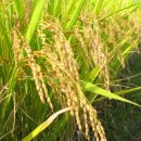 부일부동산 이미지