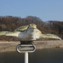 천지태양광발전소 이미지